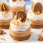 Mini Biscoff Cheesecakes