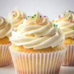 Moist and Fluffy Vanilla Cupcakes