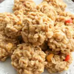 Peanut Butter No Bake Cookies 20 Peanut Butter No Bake Cookies